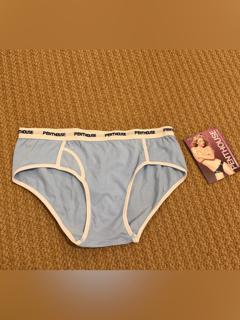 Womens Light Blue Cotton Briefs